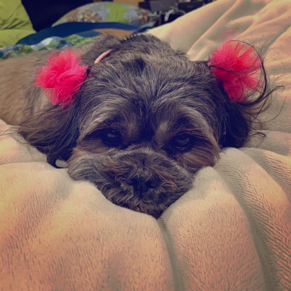 Meet your Posher, Diane